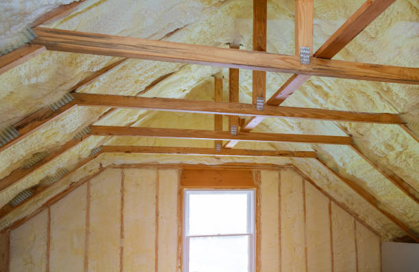 Best Spray Foam Insulation  in Parker, TX