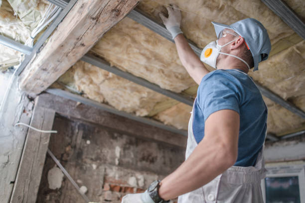 Best Commercial Insulation Contractor  in Parker, TX